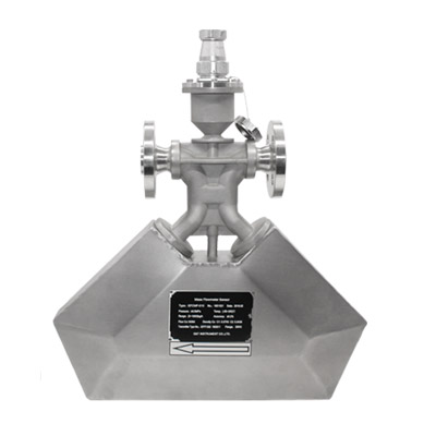 质量流量计 质量流量计